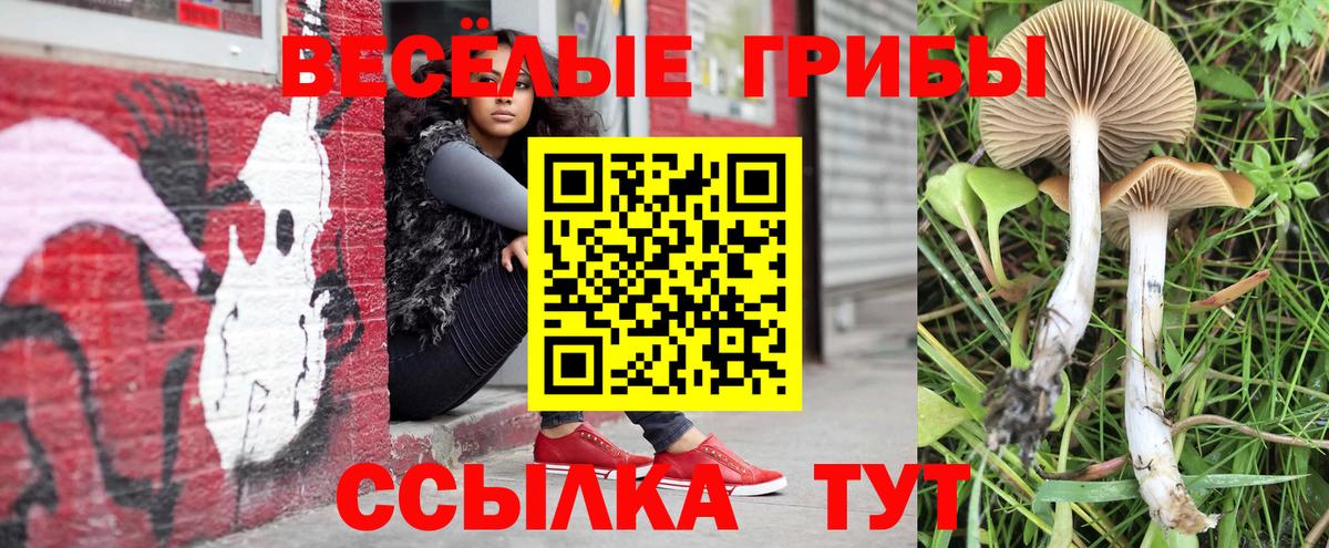 Галлюциногенные грибы ЛСД  Вход с VPN  Джанкой 