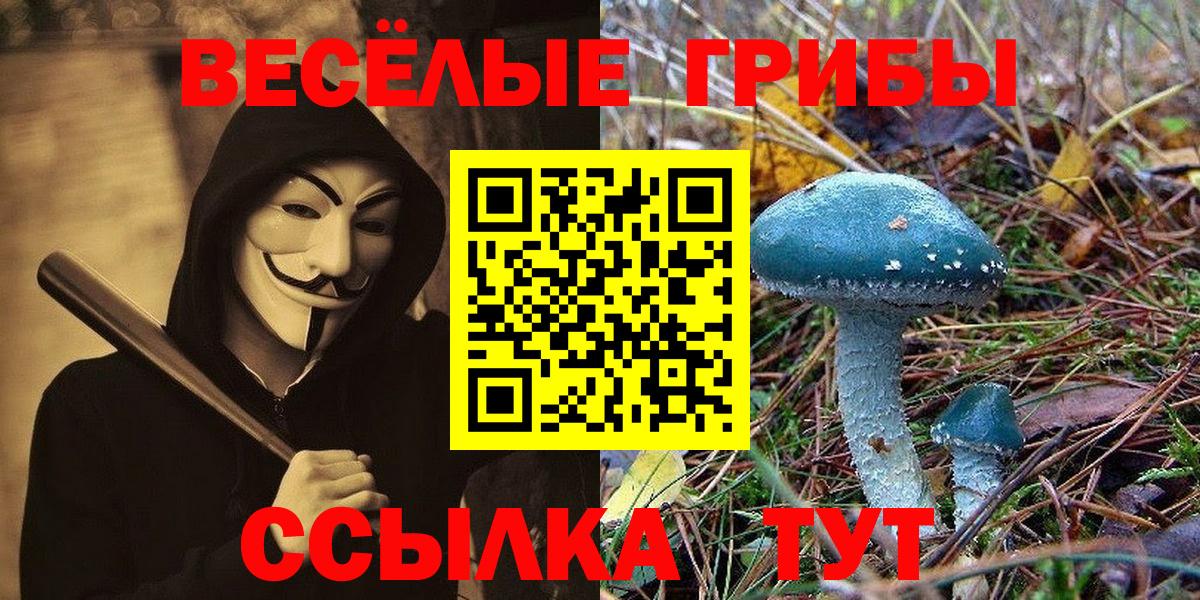 Псилоцибиновые грибы MAGIC MUSHROOMS Джанкой